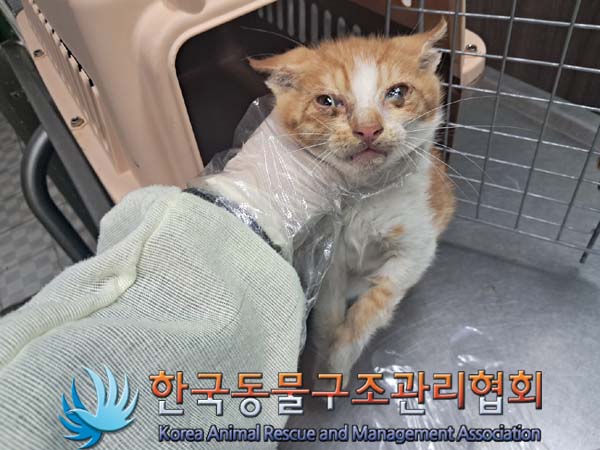 한국동물구조관리협회_441414202400598